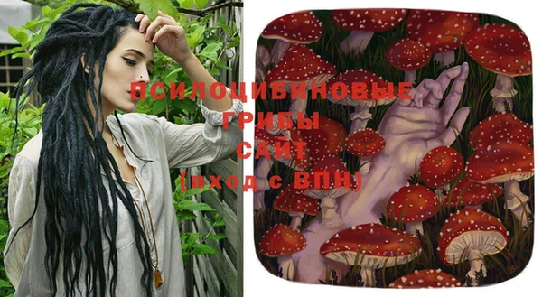 соль курить ск Богданович