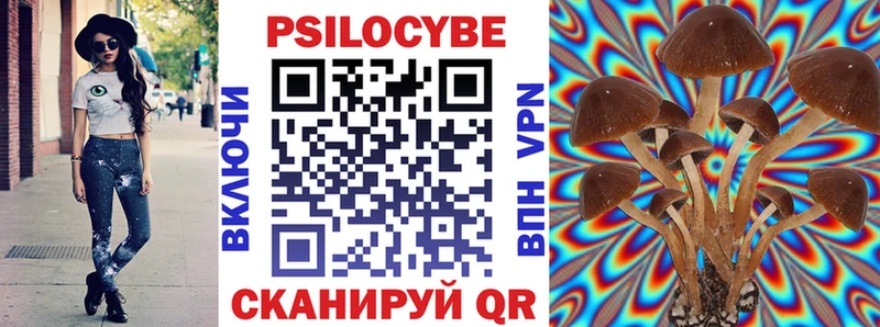 Псилоцибиновые грибы мицелий Чебаркуль