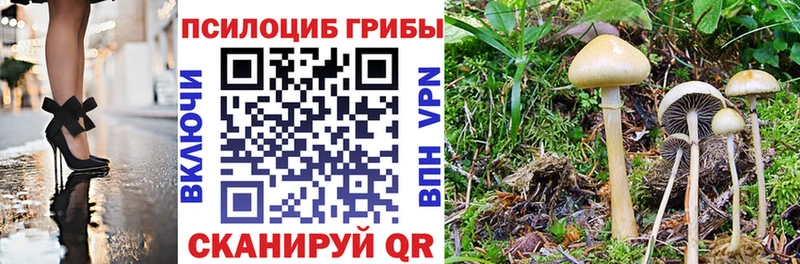 shop телеграм  Чебаркуль  Галлюциногенные грибы MAGIC MUSHROOMS 
