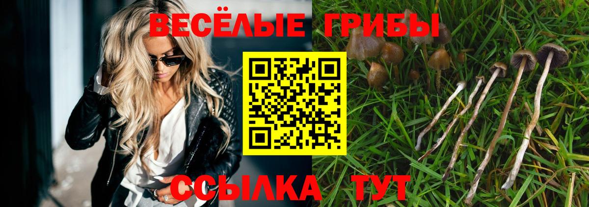 Псилоцибиновые грибы Magic Shrooms  Вход с VPN  что такое наркотик  Чебаркуль 