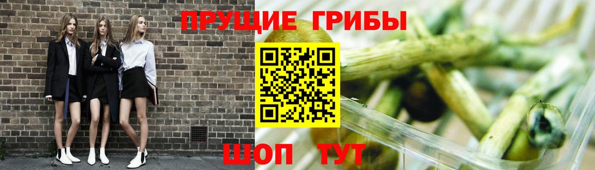 Галлюциногенные грибы MAGIC MUSHROOMS Чебаркуль